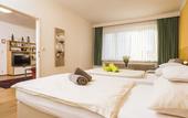 Туры в отель Appartements Ferchergasse