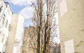 Туры в отель Appartements Ferchergasse