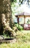 Туры в отель Salzburg Hotel Holznerwirt