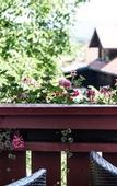 Туры в отель Salzburg Hotel Holznerwirt