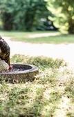 Туры в отель Salzburg Hotel Holznerwirt