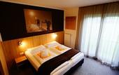 Туры в отель fairhotel Hochfilzen