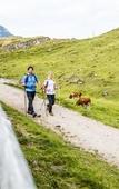 Туры в отель fairhotel Hochfilzen