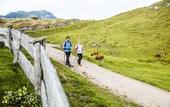 Туры в отель fairhotel Hochfilzen