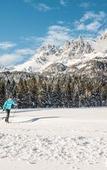 Туры в отель fairhotel Hochfilzen