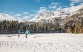 Туры в отель fairhotel Hochfilzen