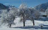 Туры в отель Moserhof