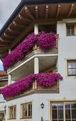 Туры в отель Hotel Leitenhof SUPERIOR