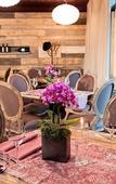Туры в отель Hotel Stainzerhof
