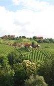 Туры в отель Hotel Stainzerhof