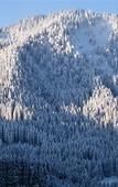 Туры в отель Berghotel Tirol