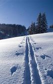 Туры в отель Berghotel Tirol