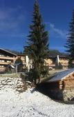 Туры в отель Berghotel Tirol