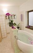 Туры в отель Berghotel Tirol