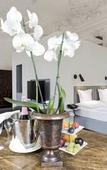 Туры в отель Hotel Schloss Leopoldskron