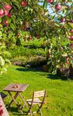 Туры в отель Hotel Pirchnerhof