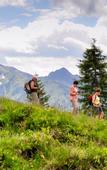 Туры в отель Hotel Pirchnerhof