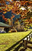 Туры в отель Hotel Pirchnerhof