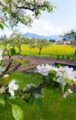 Туры в отель Hotel Pirchnerhof