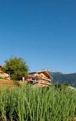 Туры в отель Hotel Pirchnerhof