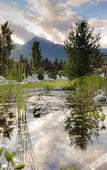 Туры в отель Hotel Pirchnerhof