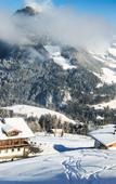 Туры в отель Hotel Pirchnerhof