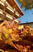 Туры в отель Hotel Pirchnerhof