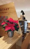 Туры в отель Flockner B & B