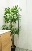 Туры в отель Flockner B & B