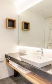 Туры в отель Clarion Hotel Vienna South