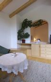 Туры в отель Gasthof Eiserne Hand