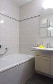 Туры в отель Gasthof Eiserne Hand