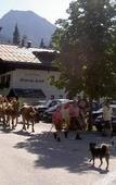 Туры в отель Gasthof Eiserne Hand