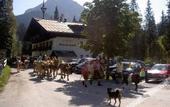 Туры в отель Gasthof Eiserne Hand