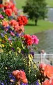 Туры в отель Via Salina - Hotel Am See - Adults Only