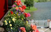 Туры в отель Via Salina - Hotel Am See - Adults Only