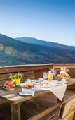 Туры в отель Hotel Gasthof Handl