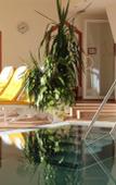 Туры в отель Vitalhotel Kaiserhof