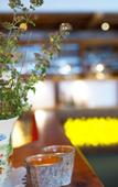 Туры в отель B&B Hotel Die Bergquelle