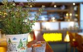 Туры в отель B&B Hotel Die Bergquelle
