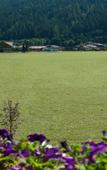 Туры в отель B&B Hotel Die Bergquelle