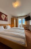 Туры в отель Pension Plattenhof