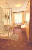 Туры в отель Pension Plattenhof