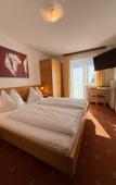 Туры в отель Pension Plattenhof
