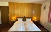 Туры в отель Pension Plattenhof