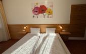 Туры в отель Pension Plattenhof