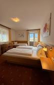Туры в отель Pension Plattenhof