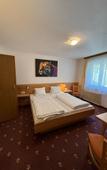 Туры в отель Pension Plattenhof