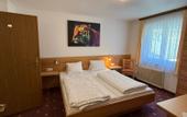 Туры в отель Pension Plattenhof