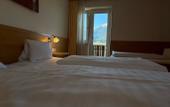 Туры в отель Pension Plattenhof